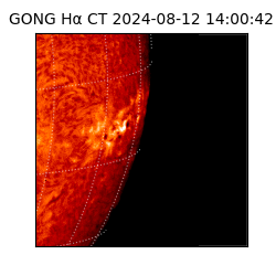 gong - 2024-08-12T14:00:42
