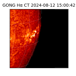 gong - 2024-08-12T15:00:42