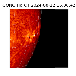 gong - 2024-08-12T16:00:42