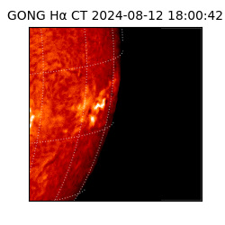 gong - 2024-08-12T18:00:42