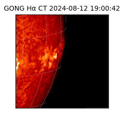 gong - 2024-08-12T19:00:42