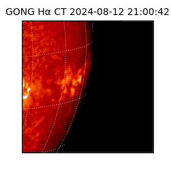 gong - 2024-08-12T21:00:42