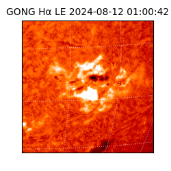 gong - 2024-08-12T01:00:42