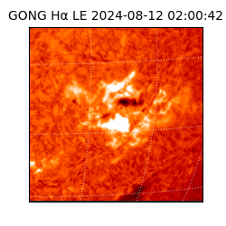 gong - 2024-08-12T02:00:42