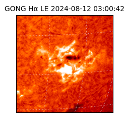 gong - 2024-08-12T03:00:42