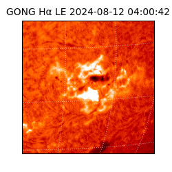 gong - 2024-08-12T04:00:42