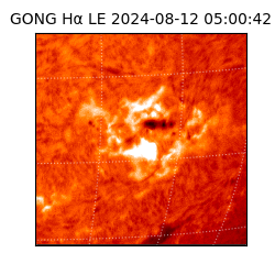 gong - 2024-08-12T05:00:42