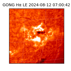 gong - 2024-08-12T07:00:42