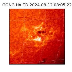 gong - 2024-08-12T08:05:22