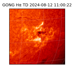 gong - 2024-08-12T11:00:22