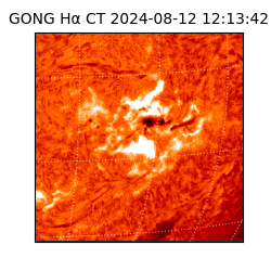 gong - 2024-08-12T12:13:42