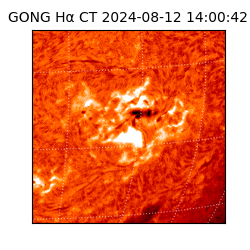 gong - 2024-08-12T14:00:42