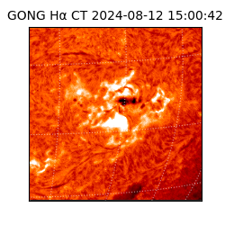 gong - 2024-08-12T15:00:42