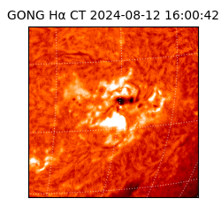 gong - 2024-08-12T16:00:42