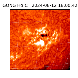 gong - 2024-08-12T18:00:42