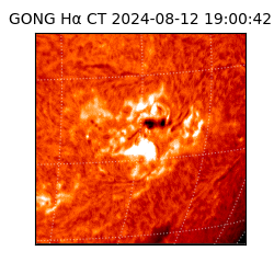 gong - 2024-08-12T19:00:42