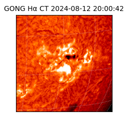 gong - 2024-08-12T20:00:42