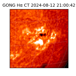 gong - 2024-08-12T21:00:42
