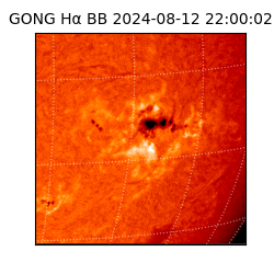 gong - 2024-08-12T22:00:02
