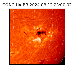 gong - 2024-08-12T23:00:02