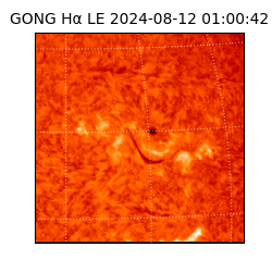 gong - 2024-08-12T01:00:42