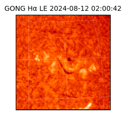 gong - 2024-08-12T02:00:42