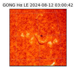 gong - 2024-08-12T03:00:42