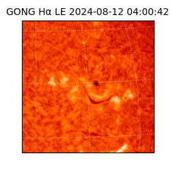 gong - 2024-08-12T04:00:42