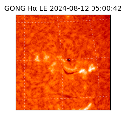 gong - 2024-08-12T05:00:42