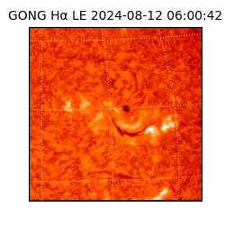 gong - 2024-08-12T06:00:42