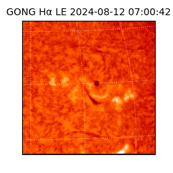 gong - 2024-08-12T07:00:42