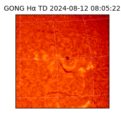 gong - 2024-08-12T08:05:22