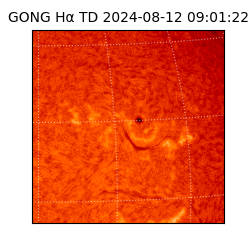 gong - 2024-08-12T09:01:22