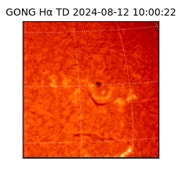 gong - 2024-08-12T10:00:22