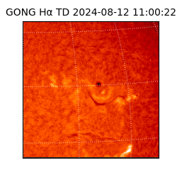gong - 2024-08-12T11:00:22
