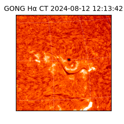 gong - 2024-08-12T12:13:42
