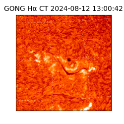 gong - 2024-08-12T13:00:42