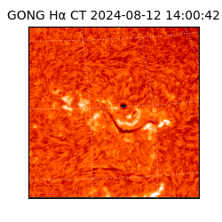 gong - 2024-08-12T14:00:42