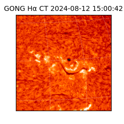 gong - 2024-08-12T15:00:42