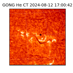 gong - 2024-08-12T17:00:42