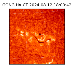 gong - 2024-08-12T18:00:42