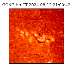 gong - 2024-08-12T21:00:42