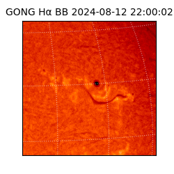 gong - 2024-08-12T22:00:02