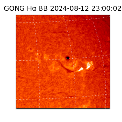 gong - 2024-08-12T23:00:02