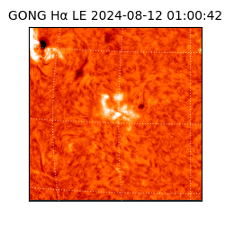 gong - 2024-08-12T01:00:42