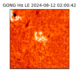 gong - 2024-08-12T02:00:42