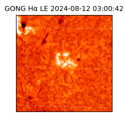 gong - 2024-08-12T03:00:42