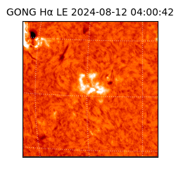gong - 2024-08-12T04:00:42