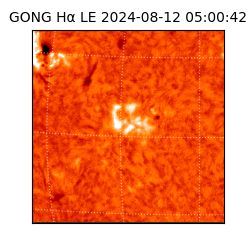 gong - 2024-08-12T05:00:42