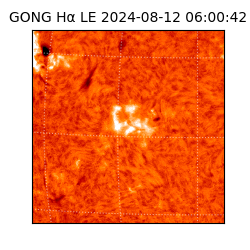 gong - 2024-08-12T06:00:42